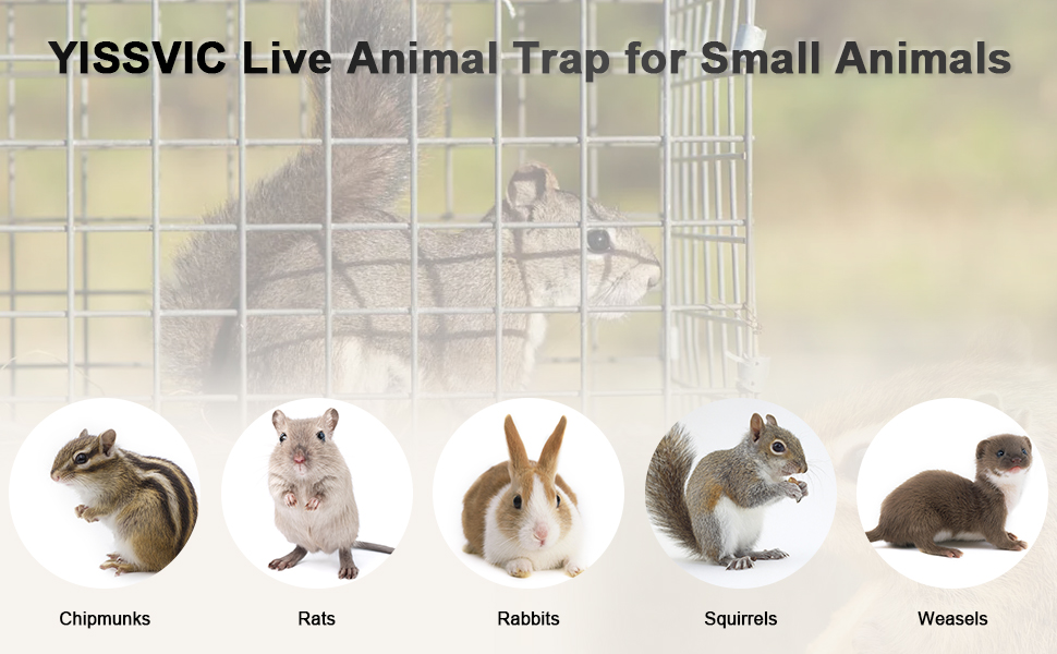 Animal Trap Hd - 6X6X16 Rats, Squirrels